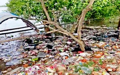 বিশ্ব ঐতিহ্য সুন্দরবনে পলিথিন-যন্ত্রণা হুমকির মুখে জলজ প্রাণী, গাছপালা ও মানুষের ভবিষ্যৎ