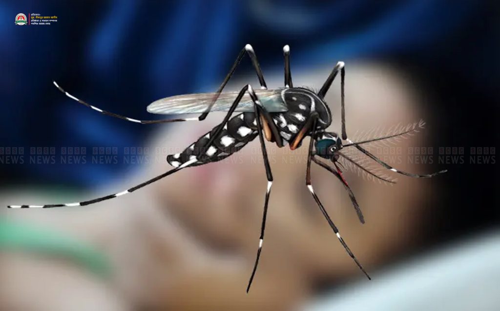 ডেঙ্গুতে পুনরায় মৃত্যু, ২৪ ঘণ্টায় ৫ জনের প্রাণহানি