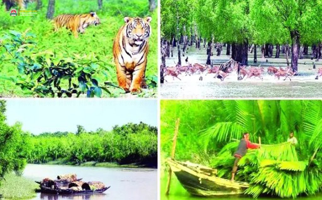 সুন্দরবনে আবার দস্যু আতঙ্ক দুবলার লইট্রাখালী খাল থেকে জেলে অপহরণ, মুক্তিপণ দাবি সুমন বাহিনীর