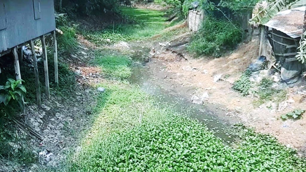 মরতে বসেছে টরকী–বাশাইল খাল, পানিশূন্যতায় হুমকিতে আগৈলঝাড়ার জনজীবন