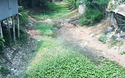 মরতে বসেছে টরকী–বাশাইল খাল, পানিশূন্যতায় হুমকিতে আগৈলঝাড়ার জনজীবন