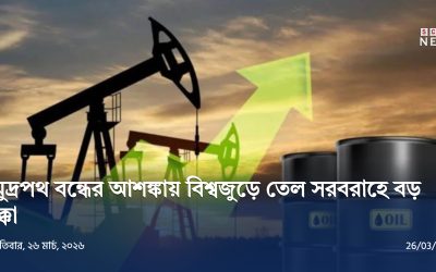 হরমুজ সংকটে জ্বালানি ঝুঁকি
