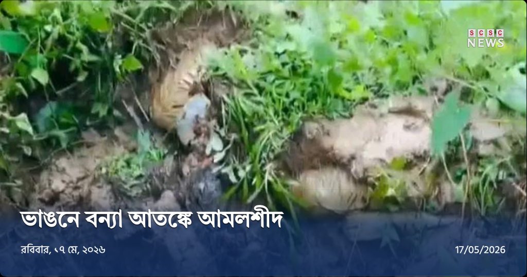 আমলশীদে বেড়িবাঁধে ভয়াবহ ভাঙন