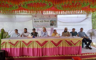 রাজবাড়ীতে যন্ত্রে ধান রোপণ, কমছে কৃষকের খরচ
