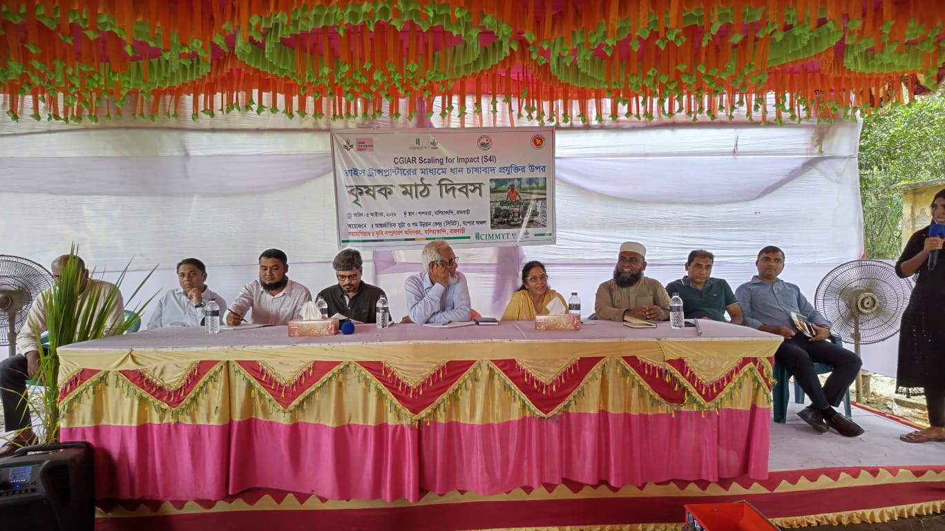 রাজবাড়ীতে যন্ত্রে ধান রোপণ, কমছে কৃষকের খরচ