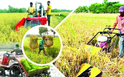ক্ষুদ্র ও প্রান্তিক কৃষকদের জন্য চালু হলো নতুন স্মার্ট ভরতুকি কার্ড