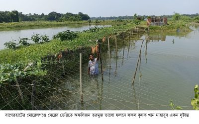 ঘেরের ভেড়িতে তরমুজ-কুমড়ার বাম্পার ফলন: তাক লাগালেন তরুণ উদ্যোক্তা মাহাবুব