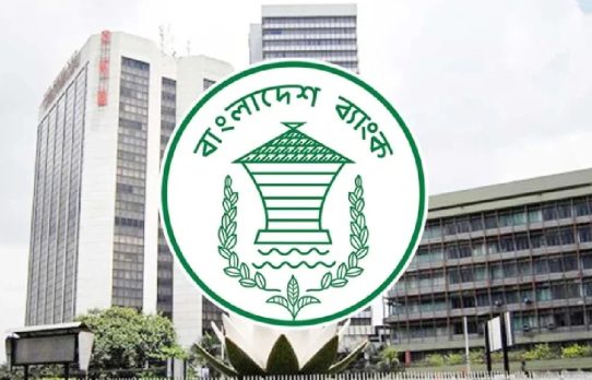 নিরাপত্তা জটিলতায় ডাউন বাংলাদেশ ব্যাংকের ওয়েবসাইট
