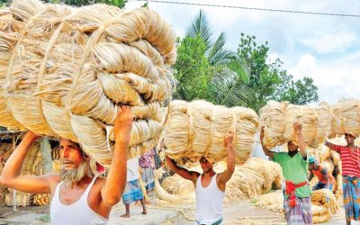 পাট ও পাটজাত পণ্যে নতুন রপ্তানি প্রণোদনা ঘোষণা