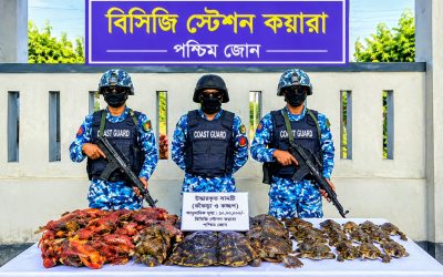 সুন্দরবনে হরিণ শিকারিদের ফেলে যাওয়া মাংস ও চামড়া জব্দ