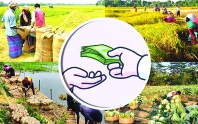 ​স্মার্ট কোল্ড স্টোরেজ নির্মাণে বড় মেগা প্রকল্প অনুমোদন