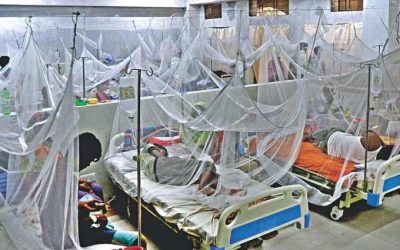 হাসপাতালে উপচে পড়া ডেঙ্গু রোগী: স্বাস্থ্য অধিদপ্তরের বিশেষ কন্ট্রোল রুম ও হটলাইন চালু!